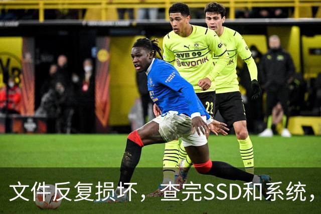 文件反复损坏，查完SSD和系统，问题出在内存条